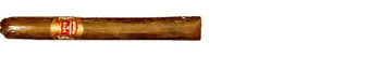 Hoyo De Monterrey Exquisitos Maq.